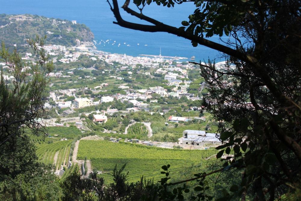 Hotel Regina Palace Terme Ischia Eksteriør bilde